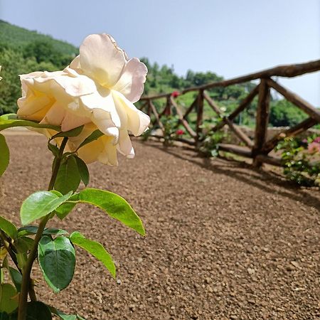 Casale Forno Vecchio Villa Tramonti Bagian luar foto