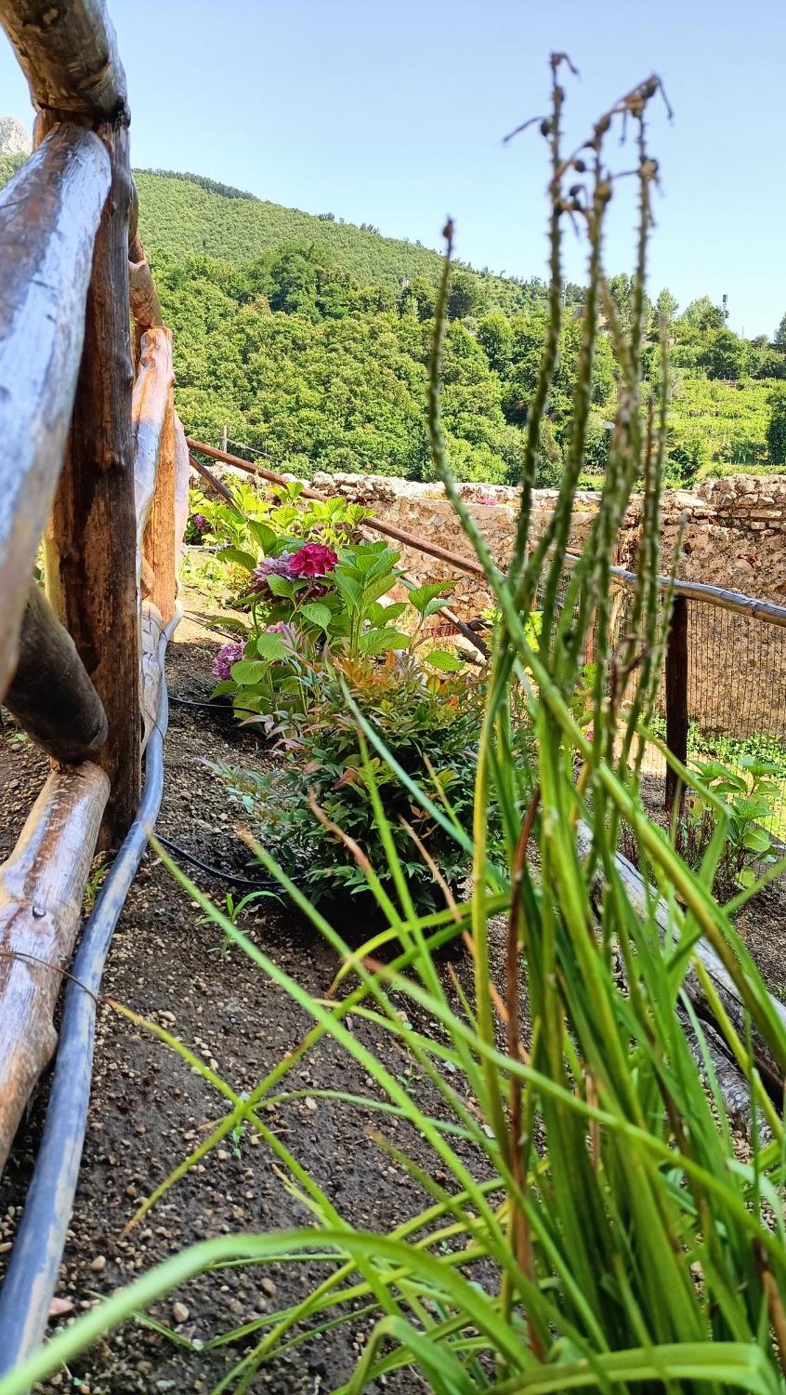 Casale Forno Vecchio Villa Tramonti Bagian luar foto