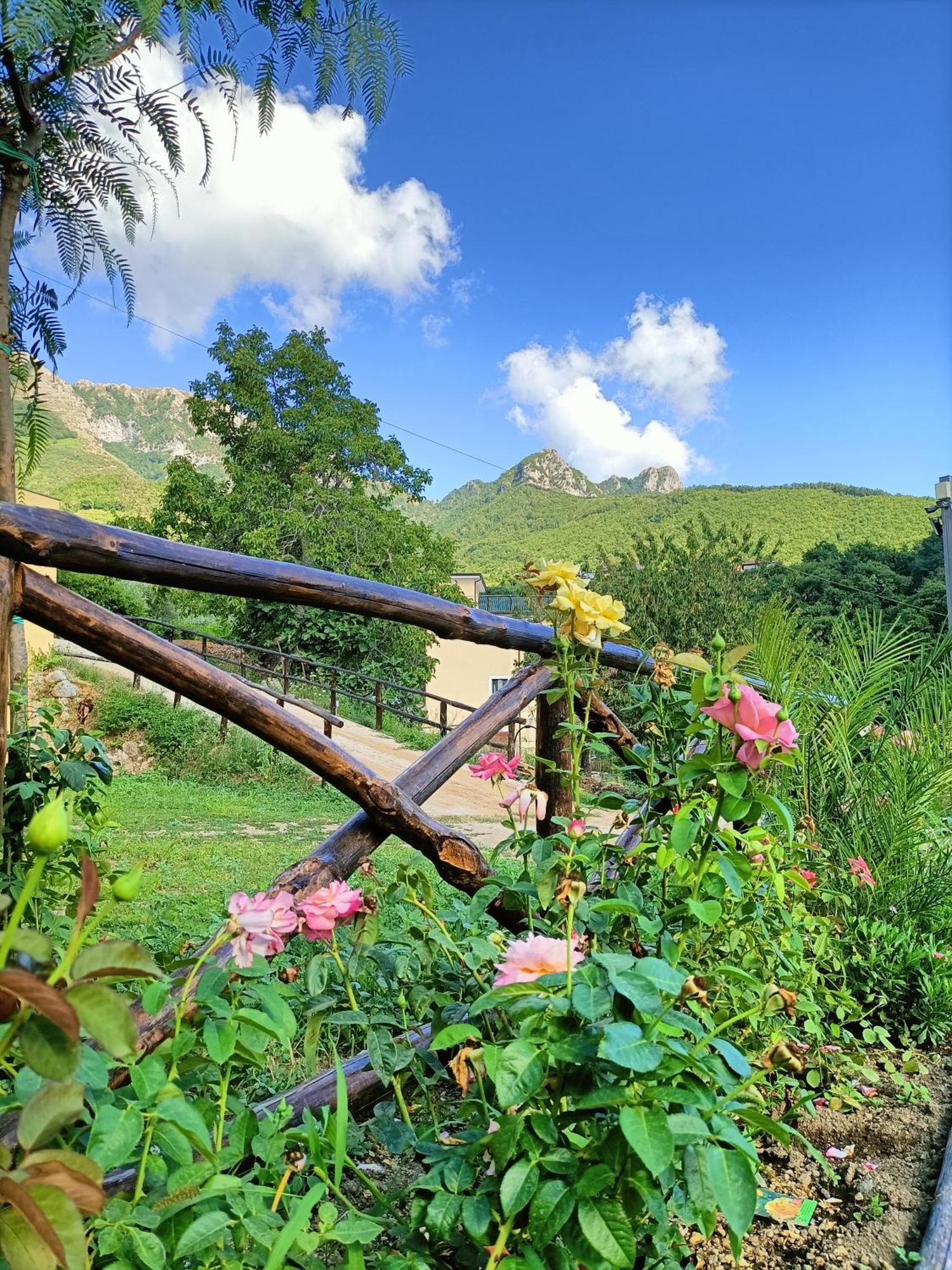 Casale Forno Vecchio Villa Tramonti Bagian luar foto